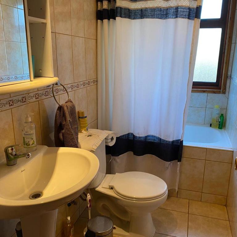 Se Arrienda Casa en Condominio Suizo, Pucon - Villa - 15