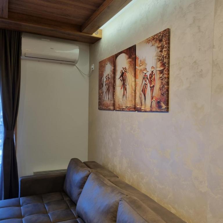 Royal Garden Centar apartmani - One-Bedroom Apartment - 50