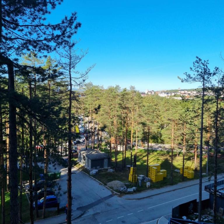 Royal Garden Centar apartmani - One-Bedroom Apartment - 46