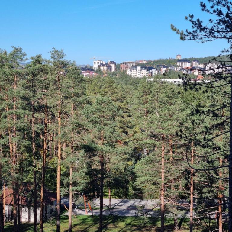 Royal Garden Centar apartmani - One-Bedroom Apartment - 58