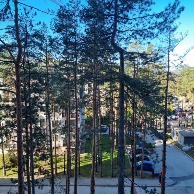Royal Garden Centar apartmani - One-Bedroom Apartment - 56