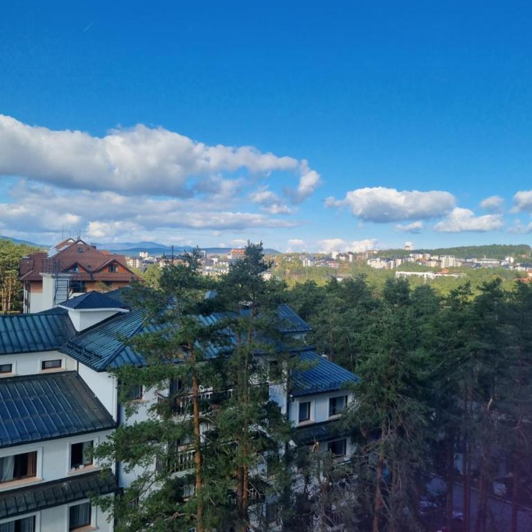 Royal Garden Centar apartmani - One-Bedroom Apartment - 60