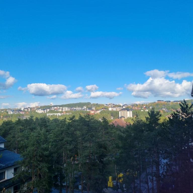 Royal Garden Centar apartmani - One-Bedroom Apartment - 67
