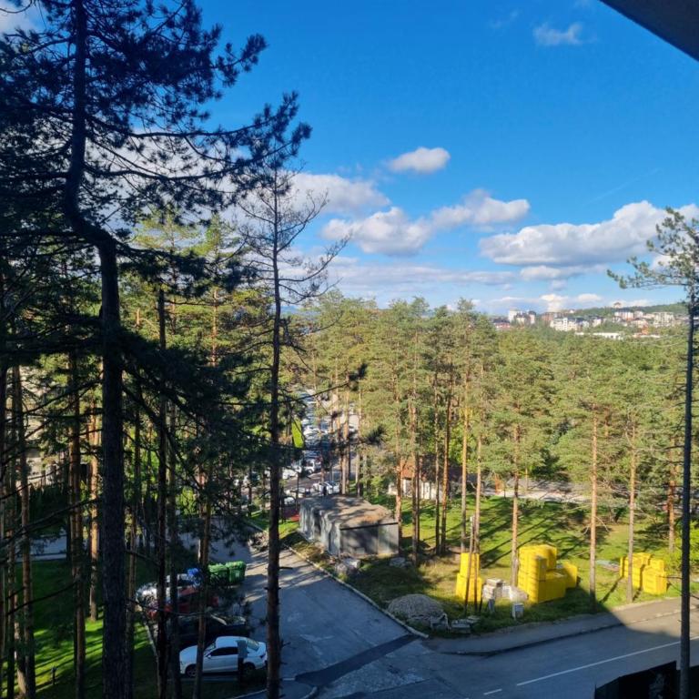 Royal Garden Centar apartmani - One-Bedroom Apartment - 66