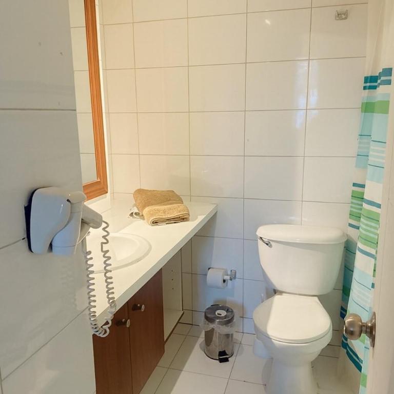 Rousse 9 Santiago - One-Bedroom Apartment - 3