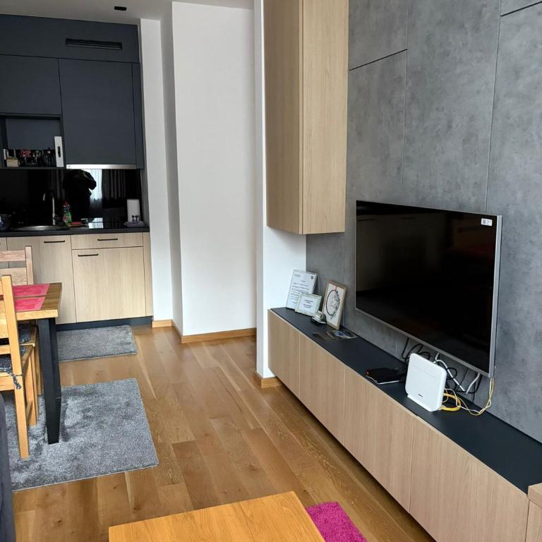 Apartman 502 i Apartman 503 - One-Bedroom Apartment - 11