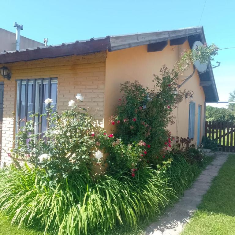 Casa Los colibrí - Two-Bedroom House - 23
