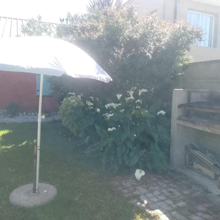 Casa Los colibrí - Two-Bedroom House - 24