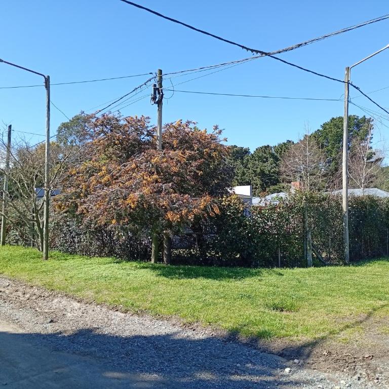 Los Cedros Lilac - Casa - 18