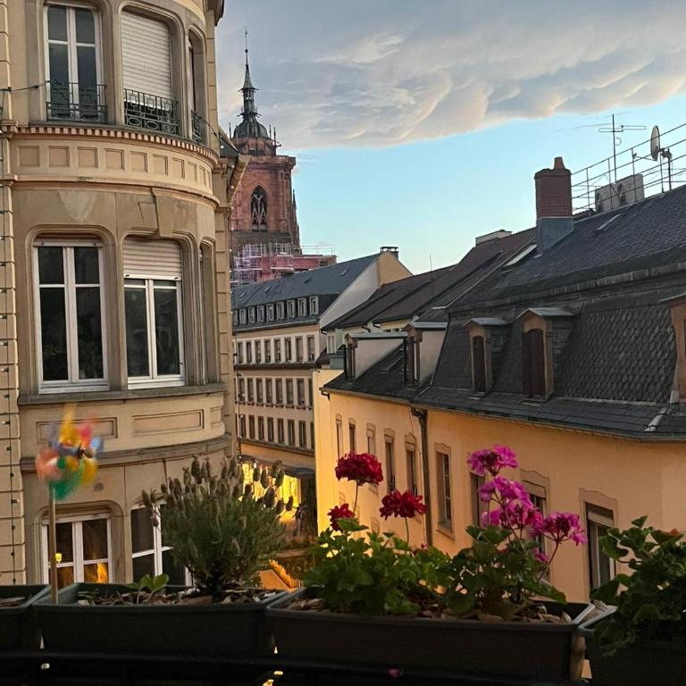 Apparemment de style 70s - Appartement 3 Chambres - 2