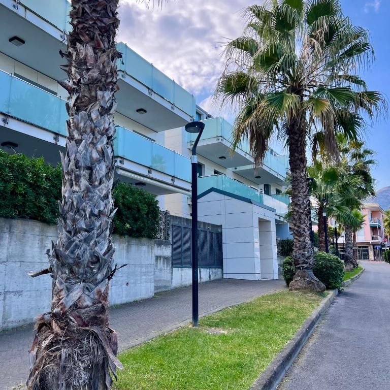 Palm Grove House con terrazzo e box privato - Apartment mit 1 Schlafzimmer - 9
