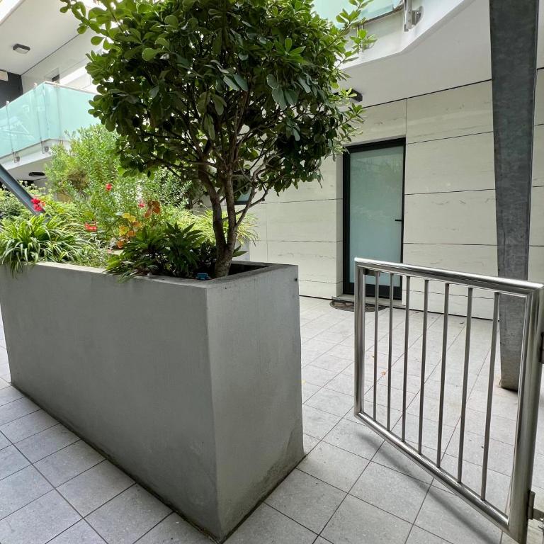 Palm Grove House con terrazzo e box privato - Apartment mit 1 Schlafzimmer - 10