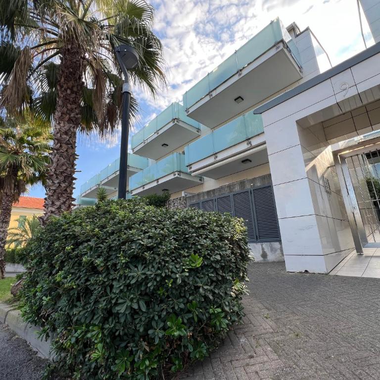 Palm Grove House con terrazzo e box privato - Apartment mit 1 Schlafzimmer - 6