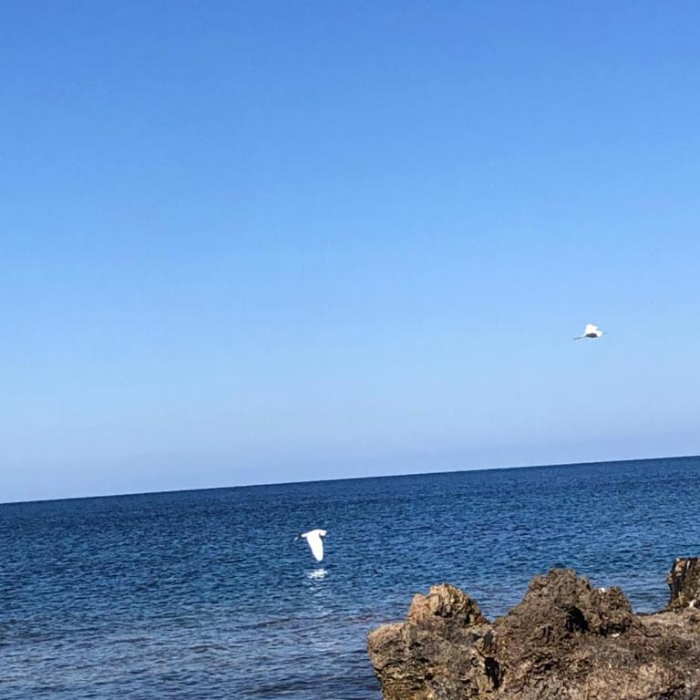 Casa Donatella a Isola - Appartamento con 2 Camere da Letto - 43