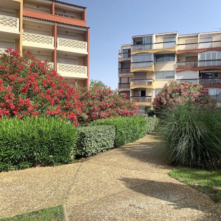 L'Abbaye du Cap - bel appartement avec terrasse entre plage et port - Apartamento Estudio con vistas al puerto - 18