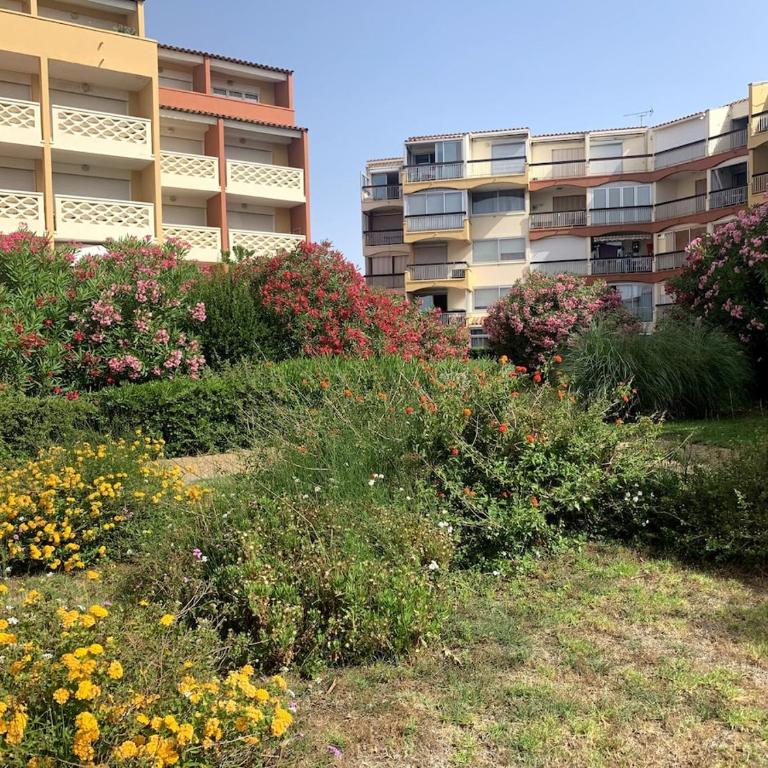 L'Abbaye du Cap - bel appartement avec terrasse entre plage et port - Apartamento Estudio con vistas al puerto - 19