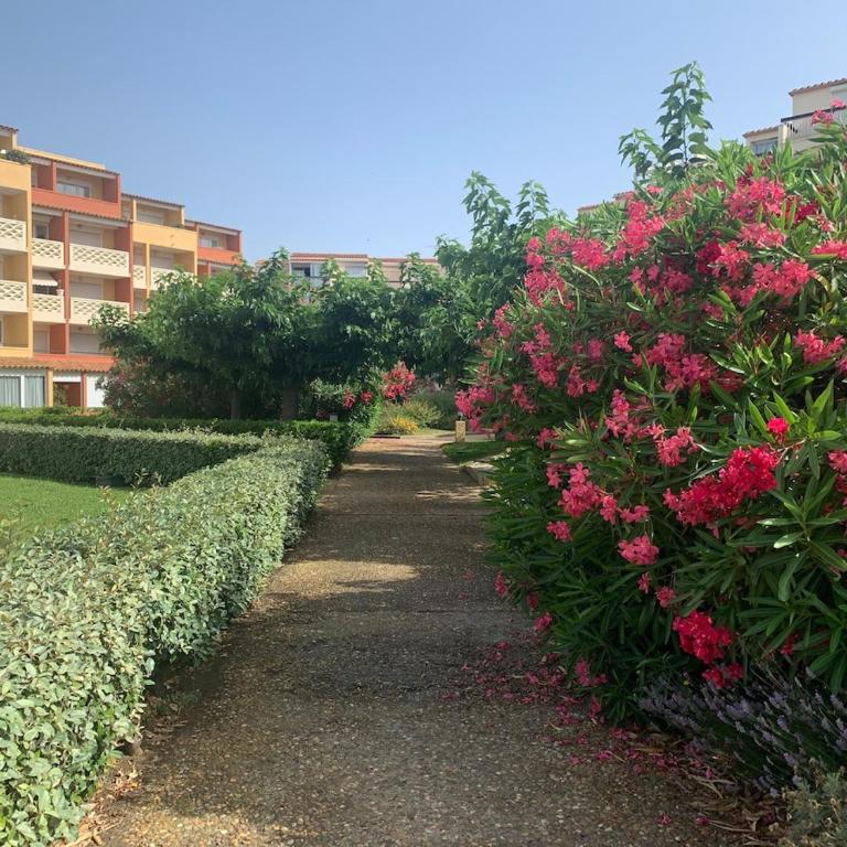 L'Abbaye du Cap - bel appartement avec terrasse entre plage et port - Apartamento Estudio con vistas al puerto - 20