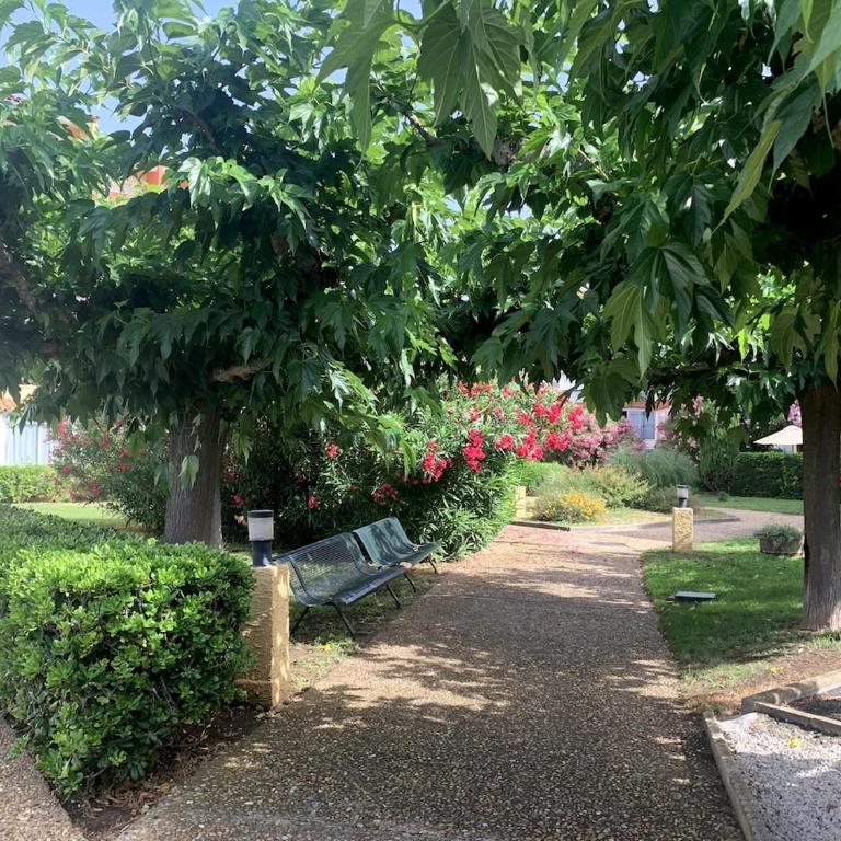 L'Abbaye du Cap - bel appartement avec terrasse entre plage et port - Apartamento Estudio con vistas al puerto - 21