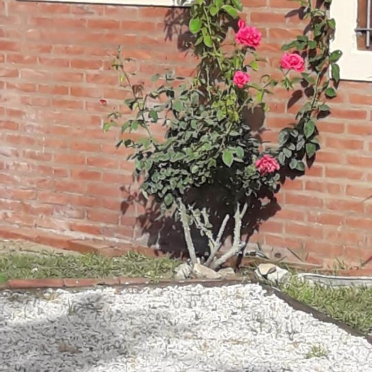 Alma del Bosque PILETA E HIDROMASAJES Semiclimatizados - Casa de 2 dormitorios - 14