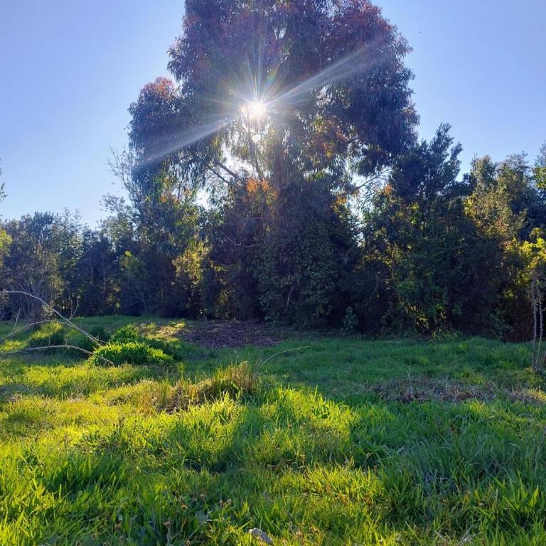 Canto del Bosque - Two-Bedroom Apartment - 10