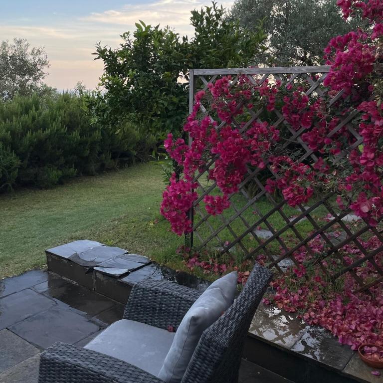 Cottage among the olive trees with a total sea view - Appartamento con 1 Camera da Letto - 2