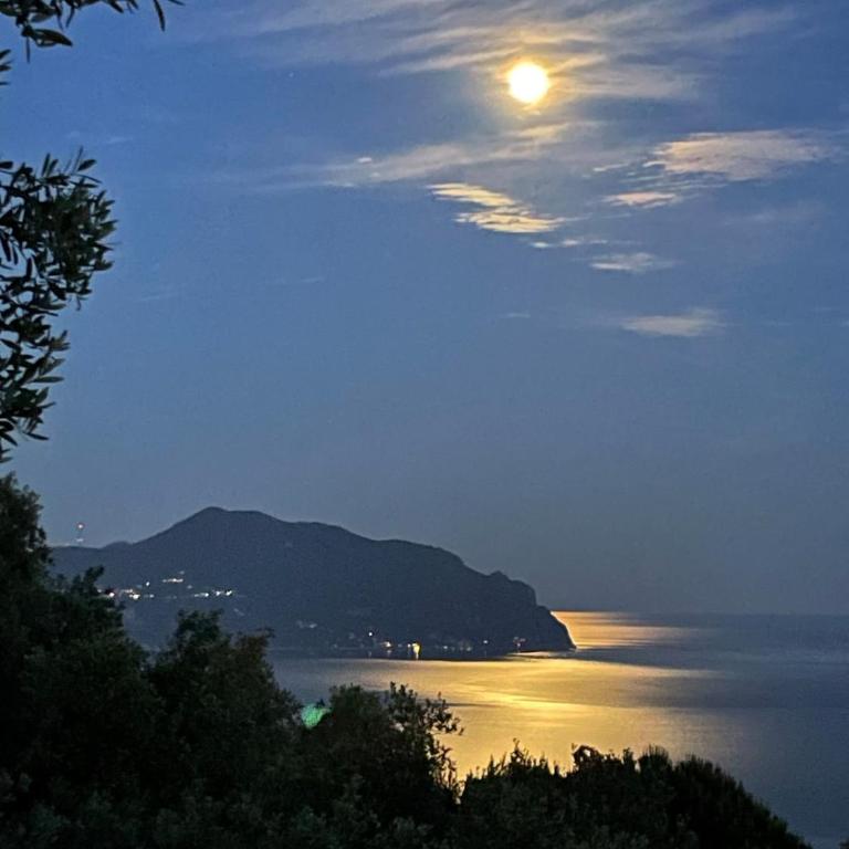 Cottage among the olive trees with a total sea view - Appartamento con 1 Camera da Letto - 12