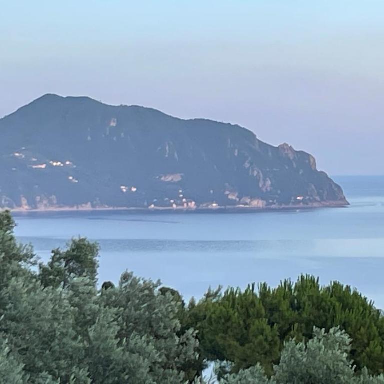 Cottage among the olive trees with a total sea view - Appartamento con 1 Camera da Letto - 1