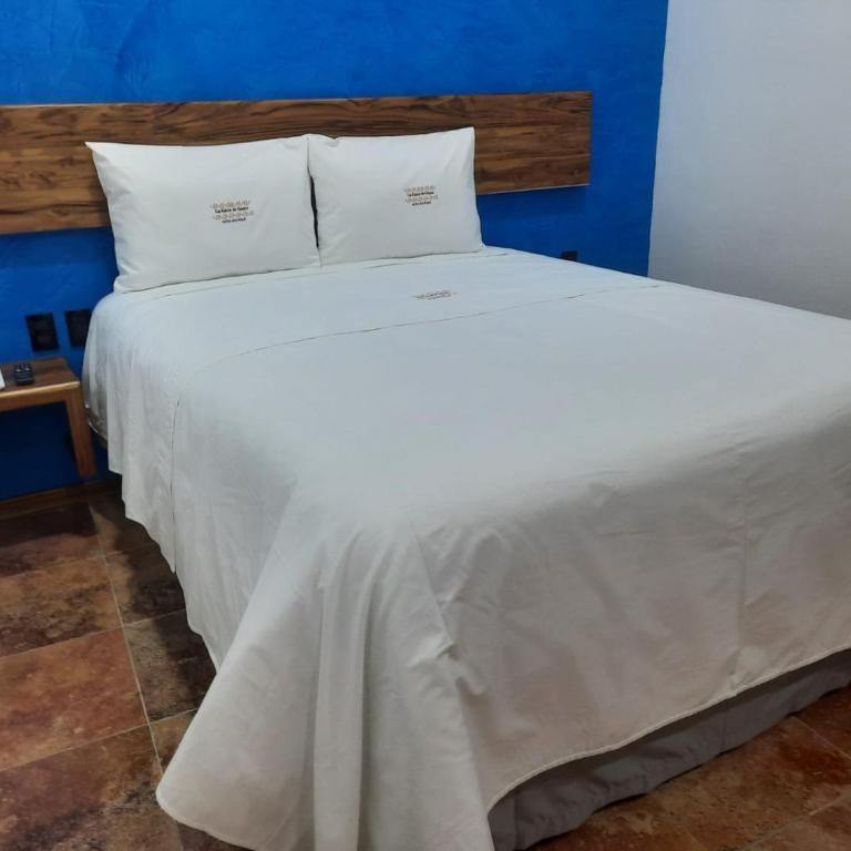 Las Raices de Oaxaca Hotel Boutique - Habitación Estándar - 1 cama grande - 8