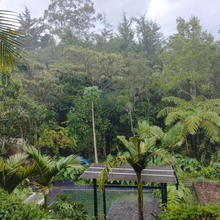 Ecofinca casa 6 personas, piscina natural, jacuzzi - Villa con piscina privada - 12