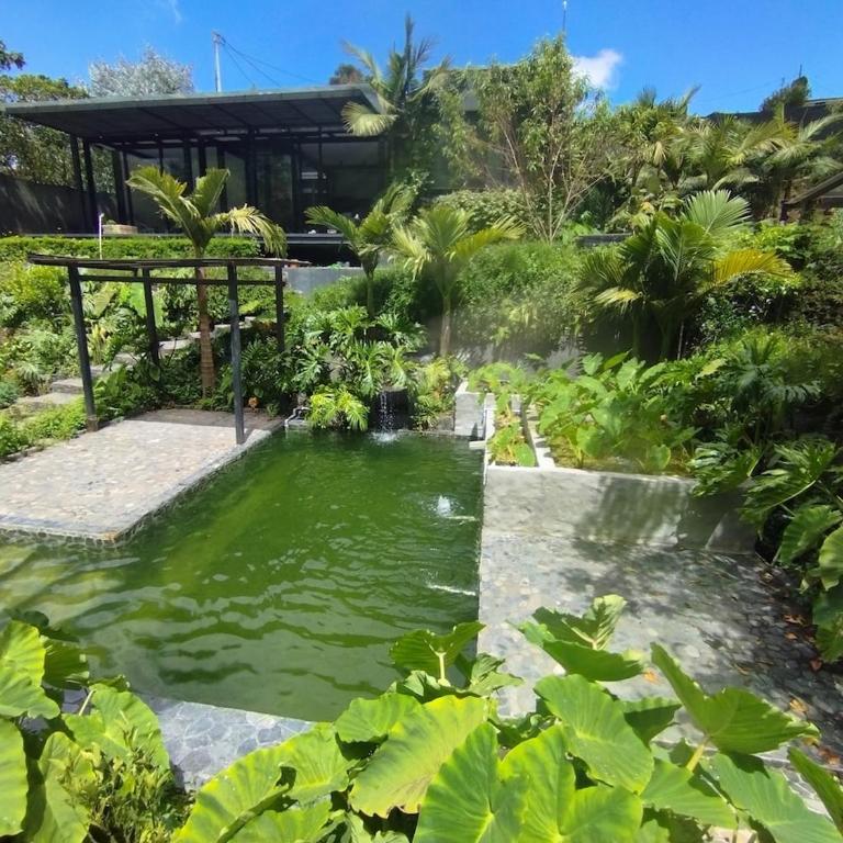 Ecofinca casa 6 personas, piscina natural, jacuzzi - Villa con piscina privada - 14