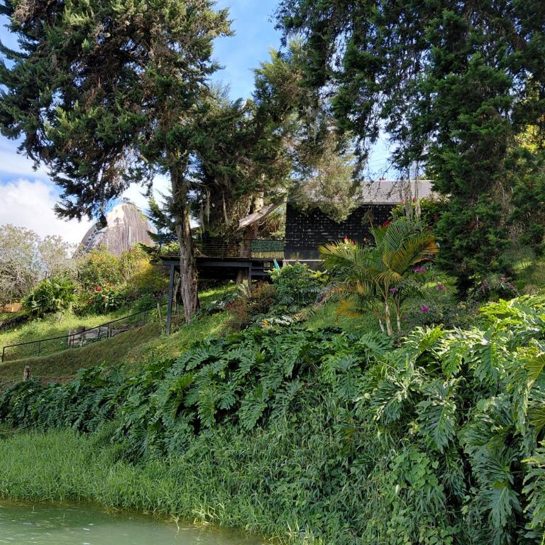 Tree House, Cabaña privada con Jacuzzi y canoa - Chalet de 1 dormitorio - 38