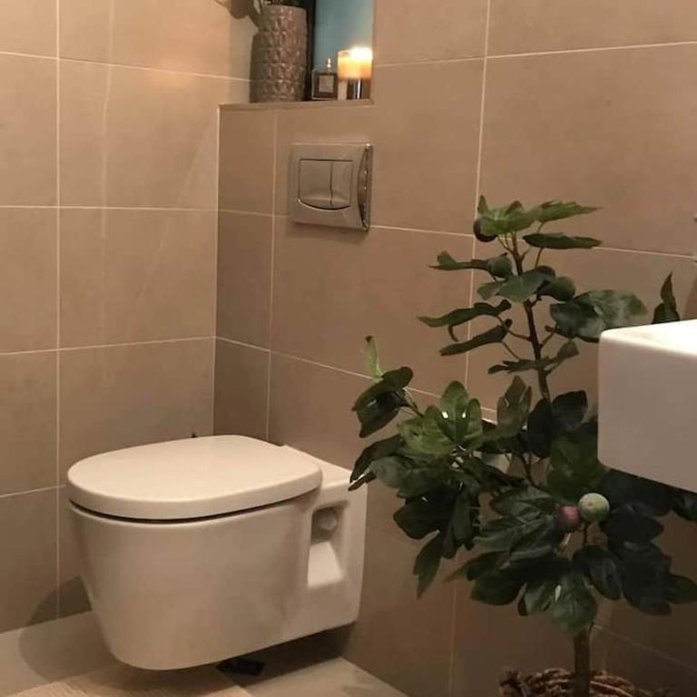 bonito bonito viña NO ARGENTINOS - Apartamento de 2 dormitorios - 13