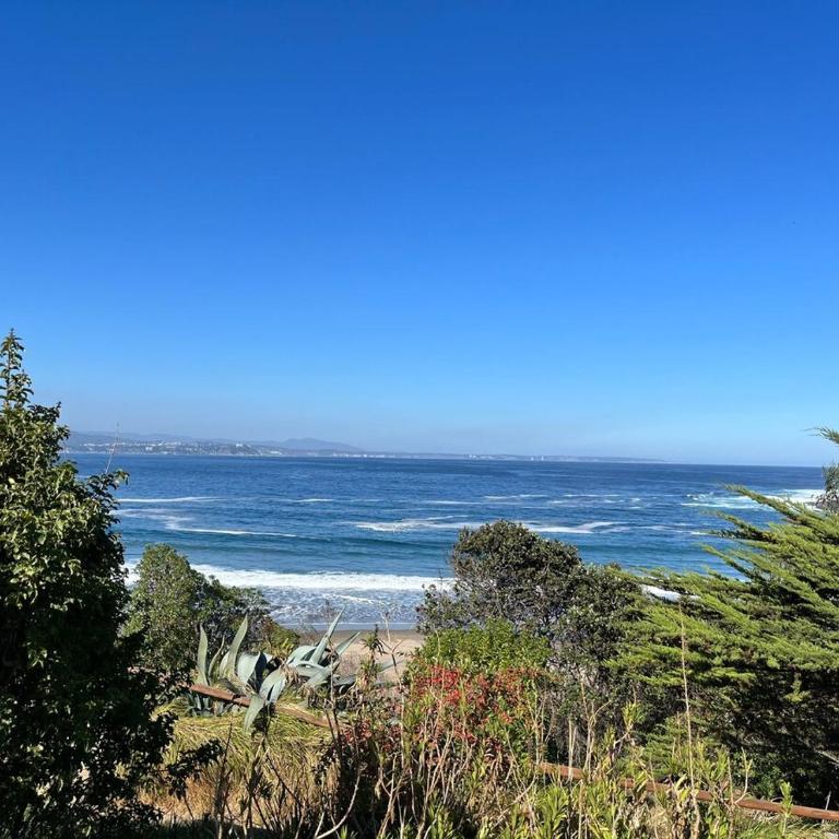Playa y resort en campo de golf, Costa Cachagua - Apartment - 37
