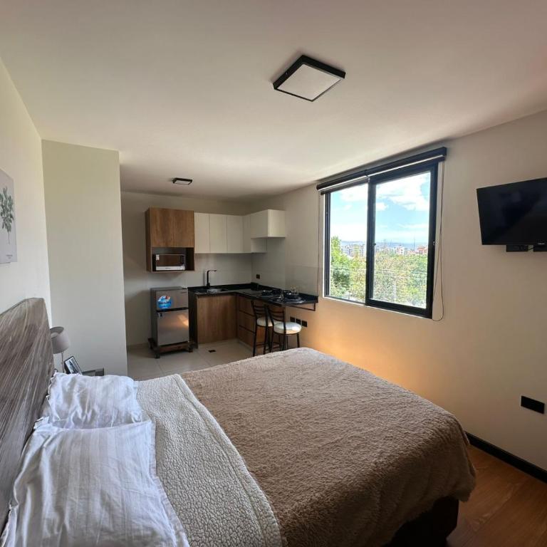 Monoambiente moderno y ubicación ideal - One-Bedroom Apartment - 1