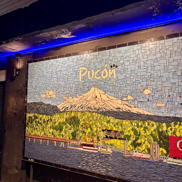 Refugio de Aves Bienvenido a tu hogar en Pucón - Casa de 3 dormitorios - 26