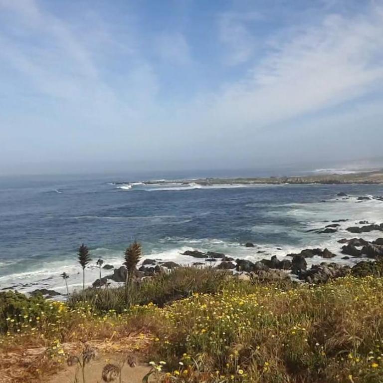 Cabañas Aurora - Casa con 1 dormitorio - 2