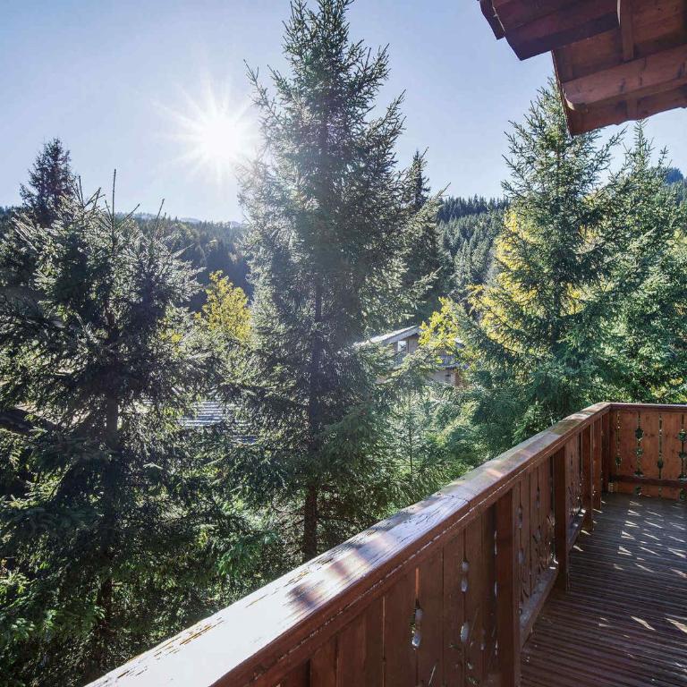 Chalet savoyard près des pistes, 13 personnes, Parking, Wifi - FR-1-568-59 - Chalet - 1