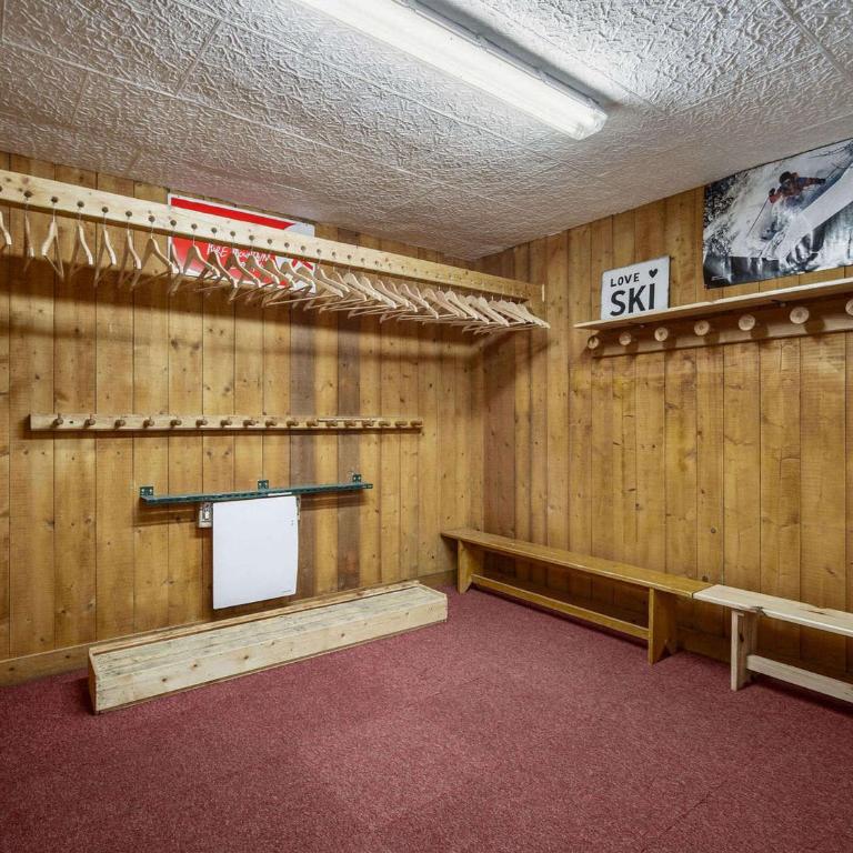 Chalet savoyard près des pistes, 13 personnes, Parking, Wifi - FR-1-568-59 - Chalet - 12