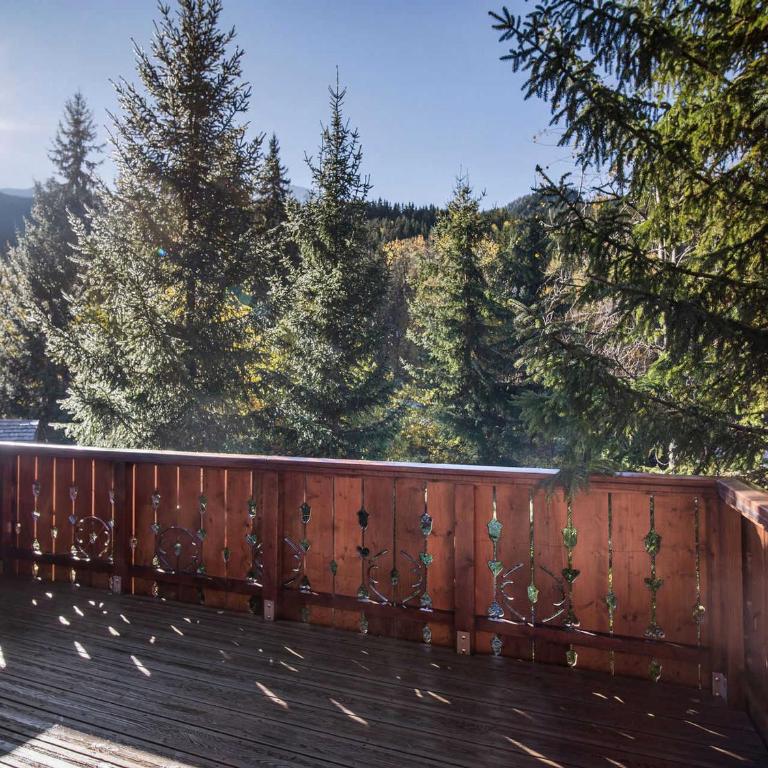 Chalet savoyard près des pistes, 13 personnes, Parking, Wifi - FR-1-568-59 - Chalet - 13