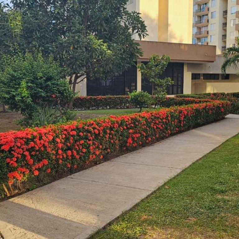 Hacienda Peñalisa Mango - Apartamento de 1 dormitorio - 3