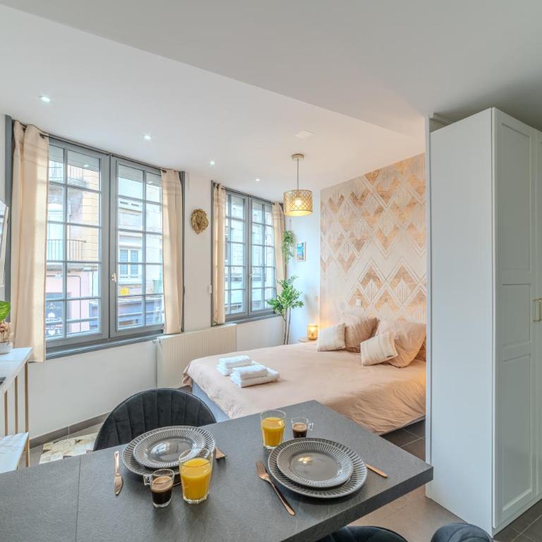Studio Caucase - Centre-ville Saint Étienne proximité parking - One-Bedroom Apartment - 9