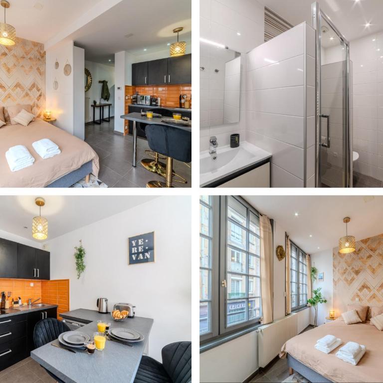 Studio Caucase - Centre-ville Saint Étienne proximité parking - One-Bedroom Apartment - 2