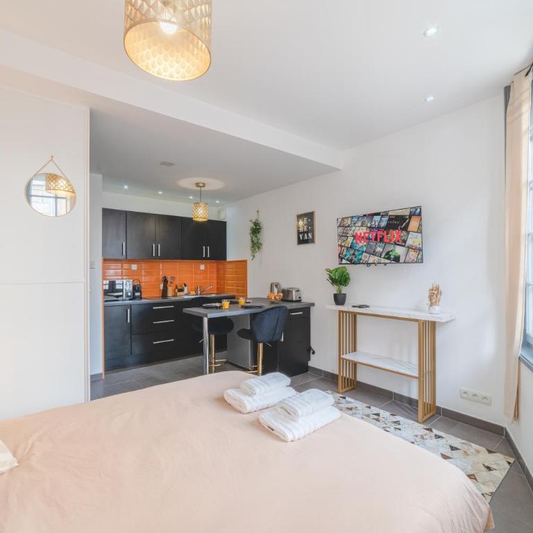 Studio Caucase - Centre-ville Saint Étienne proximité parking - One-Bedroom Apartment - 11