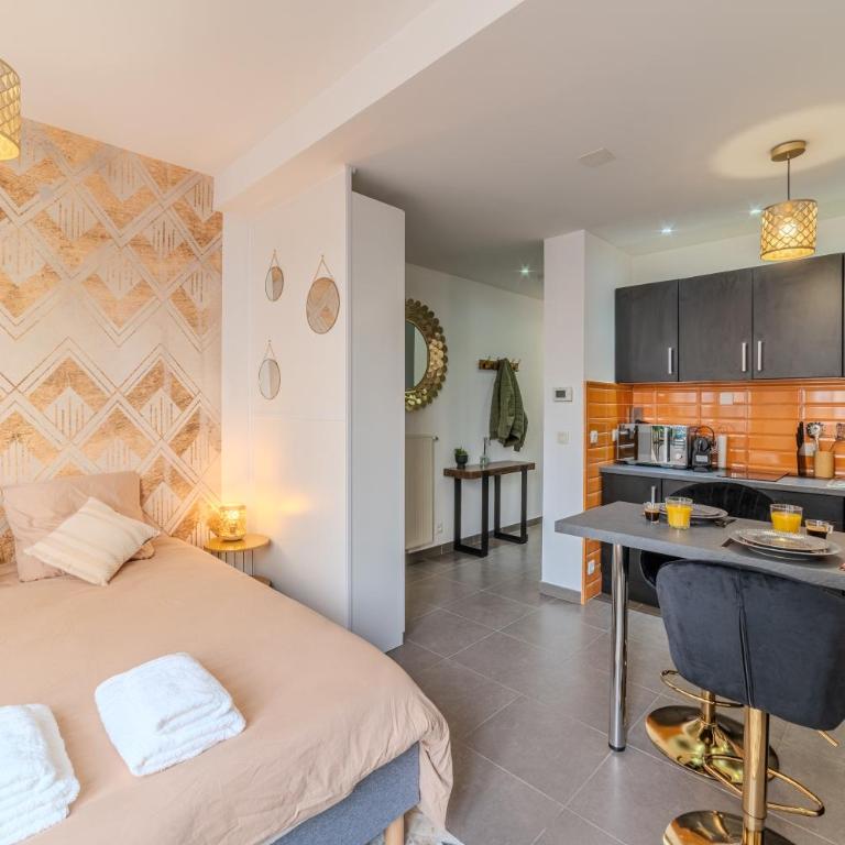 Studio Caucase - Centre-ville Saint Étienne proximité parking - One-Bedroom Apartment - 12