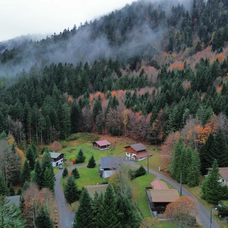 Chalet des Belles Roches, 14 pers, garden, sauna - Chalet - 32