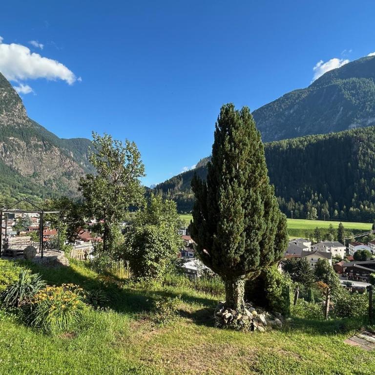 Haus Matteo - Appartamento con 1 Camera da Letto - 22