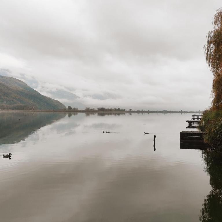 Ferienwohnung Seespiegel direkt am Kalterer See - Appartamento con Vista Lago - 22
