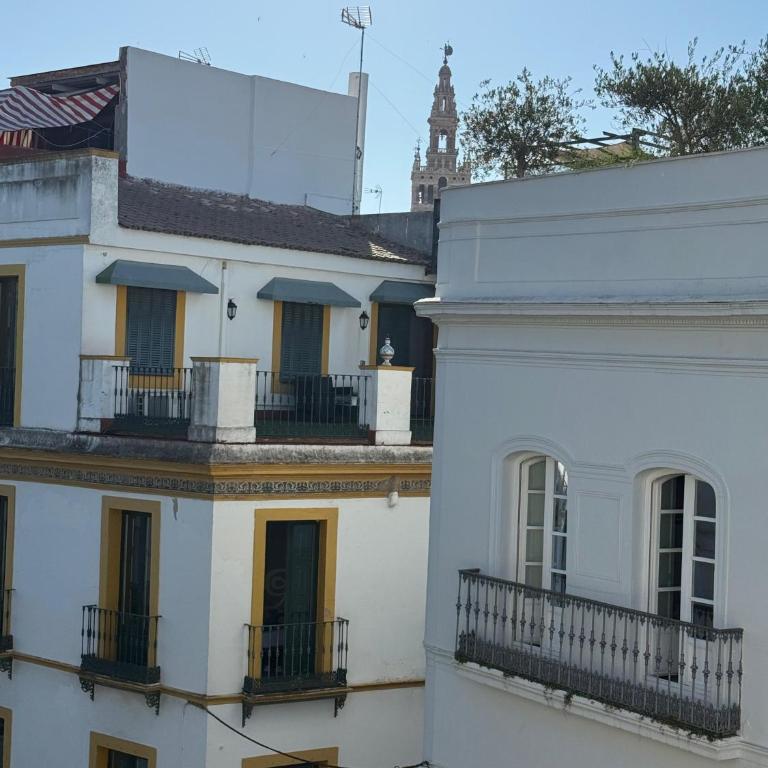 Antonia Global 3 - Apartamento con 4 dormitorios - 12