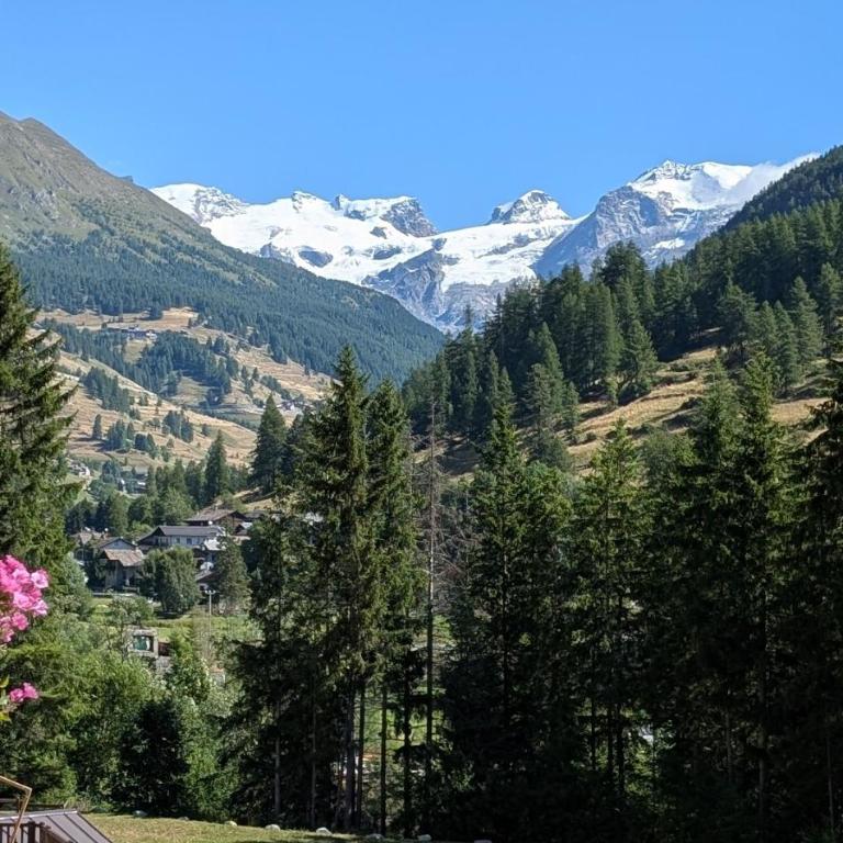 Maison Poluc - Chiaro di Luna - Appartamento con Vista Montagna - 15