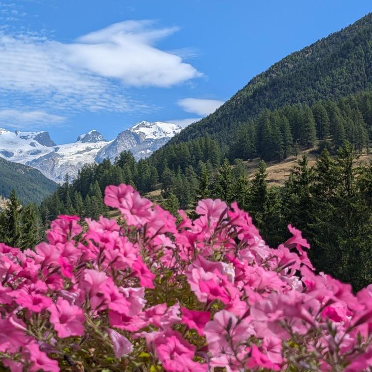 Maison Poluc - Chiaro di Luna - Appartamento con Vista Montagna - 14
